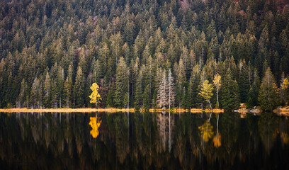 Herbst am Kleinen Arbersee: Spiegelnde Farbenpracht im Bayerischen Wald.."Herbstzauber am Kleinen Arbersee: Spiegelnde Farbenpracht im Bayerischen Wald"