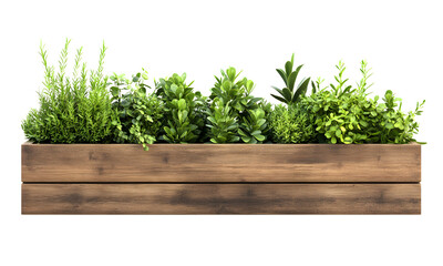 Wooden planter box with plants, on transparent background