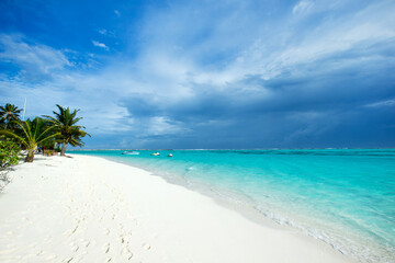 Summer beach landscape. Tropical island paradise. Tropical white sand beach with coco palms. Sand,...