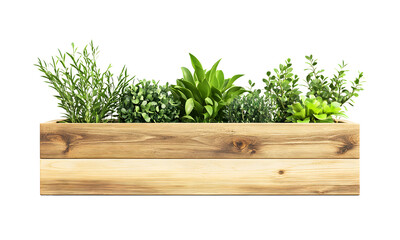 Wooden planter box with plants, on transparent background