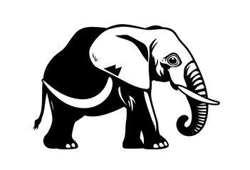 elephant illustration