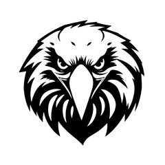 head of a eagle