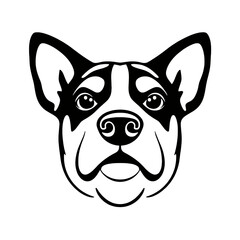 dog head on white background