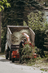 Prace porządkowe przy obciętych gałęziach © rozentuzjazmowany