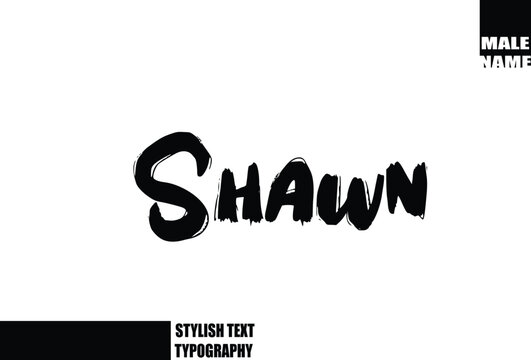 Shawn Baby Boy Name In Bold Grunge And Rough Brush Text Typography
