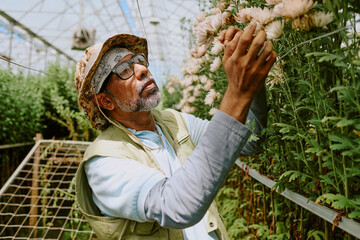 Pruning flowers in greenhouse wearing hat and glasses, person focuses on delicate task while...