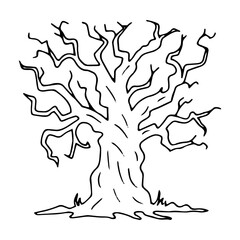 Silhouette of gnarled dry tree with curved branches. Black outline illustration for Halloween. Hand drawn isolated graphic clipart. Line sketch with twisted trunk for creepy decor. Doodle style