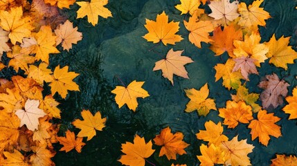 A bunch of leaves are floating on top of a body of water, AI