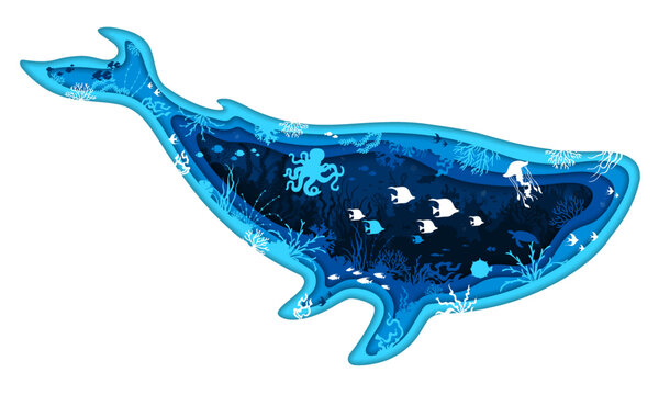 recommend clip art: Paper cut whale silhouette with underwater landscape and undersea fishes, vector banner. Sea or ocean life of underwater animals, jellyfish and octopus with turtle in papercut whale silhouette