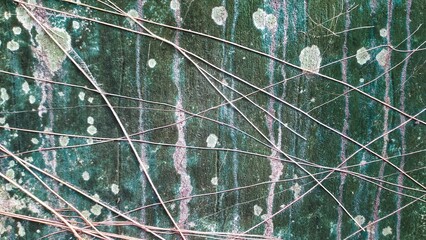 Abstract old cement wall pattern