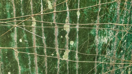 Abstract pattern on old cement wall background image