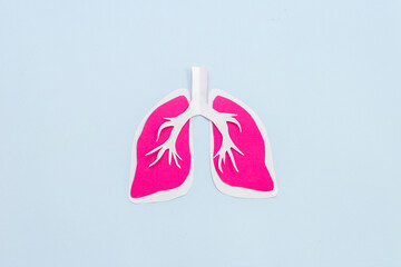 Human organ - lungs model made of paper, top view. Human health and medical concept