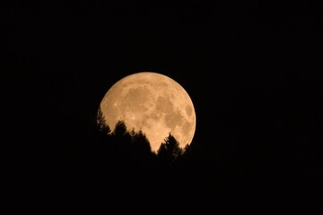 beautiful full moon rising over the mountains with tree silhouettes at a autumn night