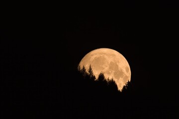 beautiful full moon rising over the mountains with tree silhouettes at a autumn night