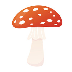 Fly agaric cartoon illustration. Poisonous mushroom. Isolated on white. 