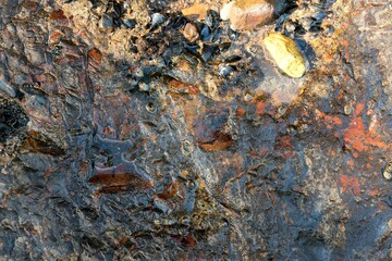 colorful wet coastal rock texture