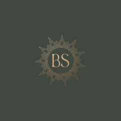BS logo design vector image