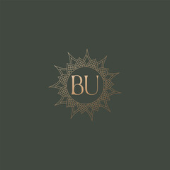 BU logo design vector image