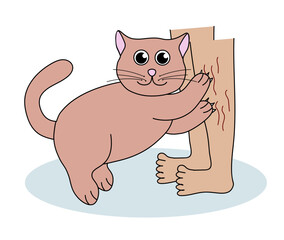 Problem with cat behavior. Kitten scratches legs. Cute hand drawn flat illustration.