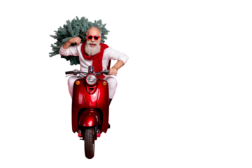 Full length photo of cheerful hipster carry fir tree having eyewear eyeglasses drive bike wearing white sweater trousers pants isolated over red background