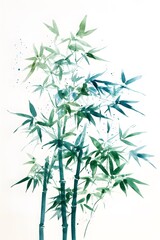 Fototapeta premium Bamboo Trees on White Background in Watercolor Style