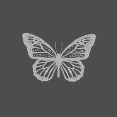 Gray butterfly isolated on a dark background. Photocopy effect.