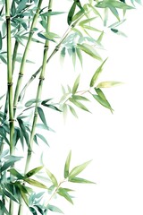 Fototapeta premium Bamboo Trees on White Background in Watercolor Style