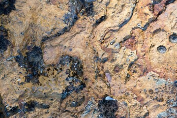 coastal rock surface texture