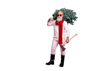 Full length body size view of nice attractive handsome virile strong gray-haired man in pullover sweater pants boots carrying festal fir cutter wintertime isolated on bright vivid shine red background