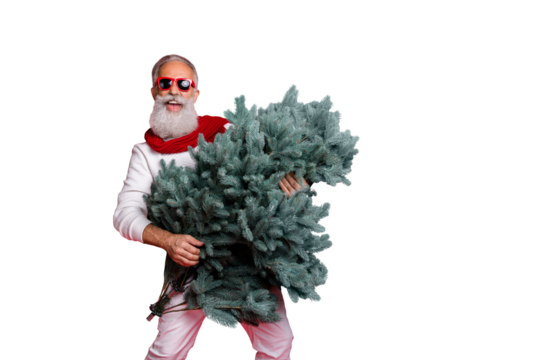 Portrait of excited pensioner hold fir tree wearing white jumper eyeglasses eyewear isolated over red background