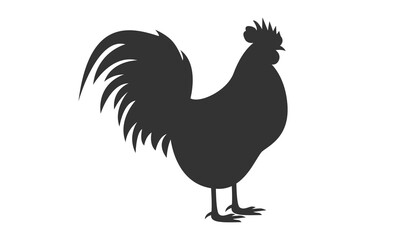 Rooster silhouette on white background. Vector illustration.