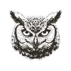 Owl Head Monochrome Grunge Vector Illustration