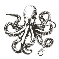 Octopus Monochrome Grunge Vector Illustration