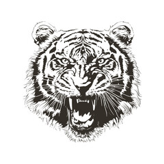 Roaring Tiger Head Monochrome Grunge Vector Illustration