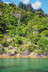 Fototapeta premium Landscape of Queens Charlotte Sound, Picton New Zealand