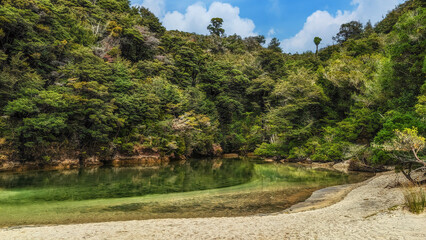Landscape with rocks, sand beach and lush rain forest vegetation