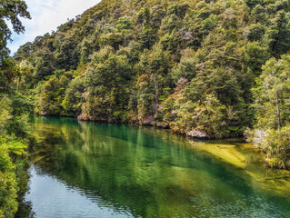 Obraz premium Falls River in Abel Tasman National Park