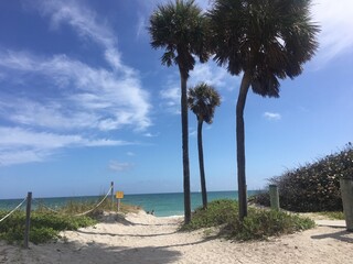 florida © Adriana