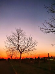 sunset in the park