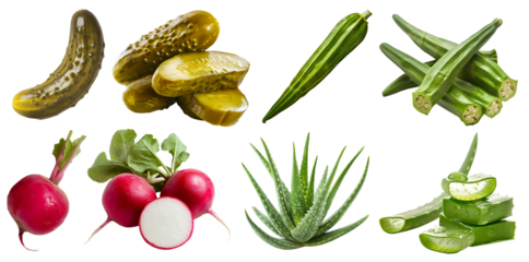 Collection of 4 vegetable fruit, Okra gumbo, ladyfinger bhindi, Pickles gherkin Preserved Marinated cucumbers, Red radish radishes, Aloe vera on transparent PNG. Mockup template for artwork design.  
