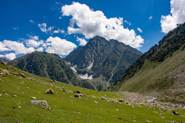 alpine meadow in the mountains