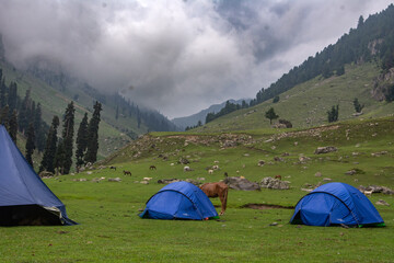 camping in the mountains