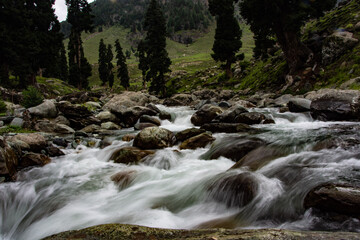 waterfall in the forest