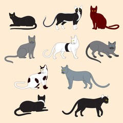 An Ancient Thai cats No. 1