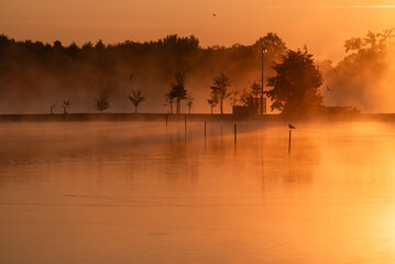 Piękny krajobraz o wschodzie słońca, w pomarańczowych promieniach słońca, tapeta.  © Elżbieta Kaps