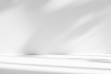 Abstract white color studio background for product presentation. Empty room with shadows of window and flowers and plant leaves . 3d room with copy space. Summer concert. Blurred backdrop.