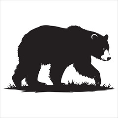 Vector illustration of a bear on a white background. Wild animal.