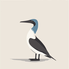 Obraz premium Stylized Vector Illustration of a Blue-footed Booby Bird