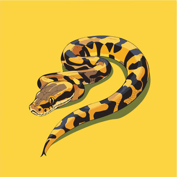 Colorful Vector Illustration of a Python on Yellow Background