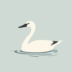 Naklejka premium Elegant Swan Gliding on Calm Water Surface